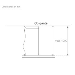 56862_es.jpg