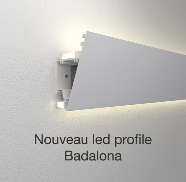 plantilla_2_fr.jpg