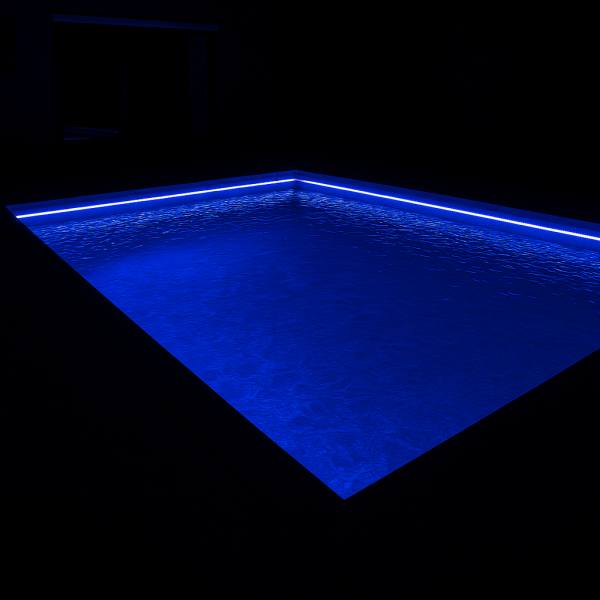 IMG3.png