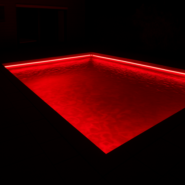 IMG1.png