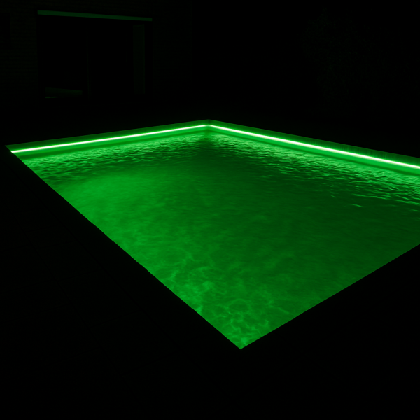IMG2.png